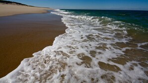 A beach with waves gently lapping onto the shore. - Privacy and Luxury on 9 acres Overlooking Ponds & Ocean - Dog Friendly (Provincetown)