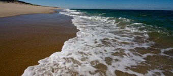 Privacy and Luxury on 9 acres Overlooking Ponds & Ocean - Dog Friendly