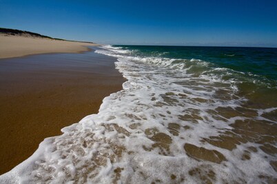 Privacy and Luxury on 9 acres Overlooking Ponds & Ocean - Dog Friendly