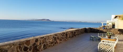 テラス / パティオ