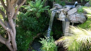 A naturalistic garden with a small waterfall, dense foliage, and a tree trunk.