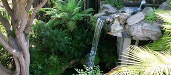 Beachfront End-unit Cottage with whitewater ocean views and private entrance