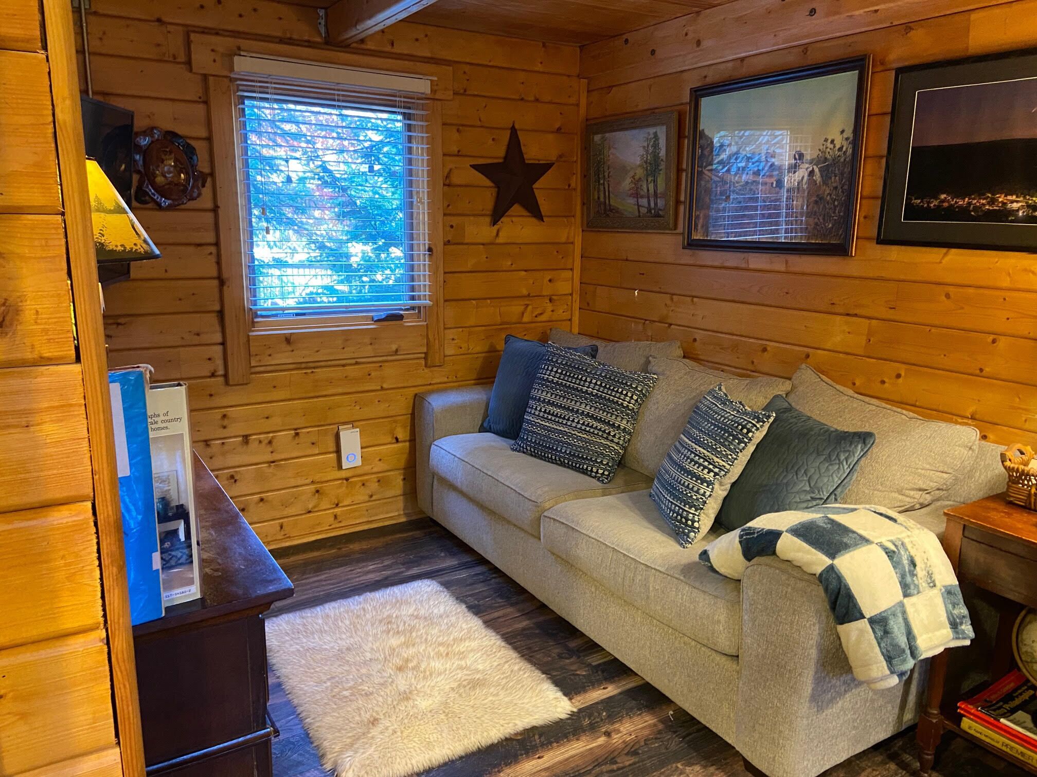 スマートテレビ、暖炉、書庫