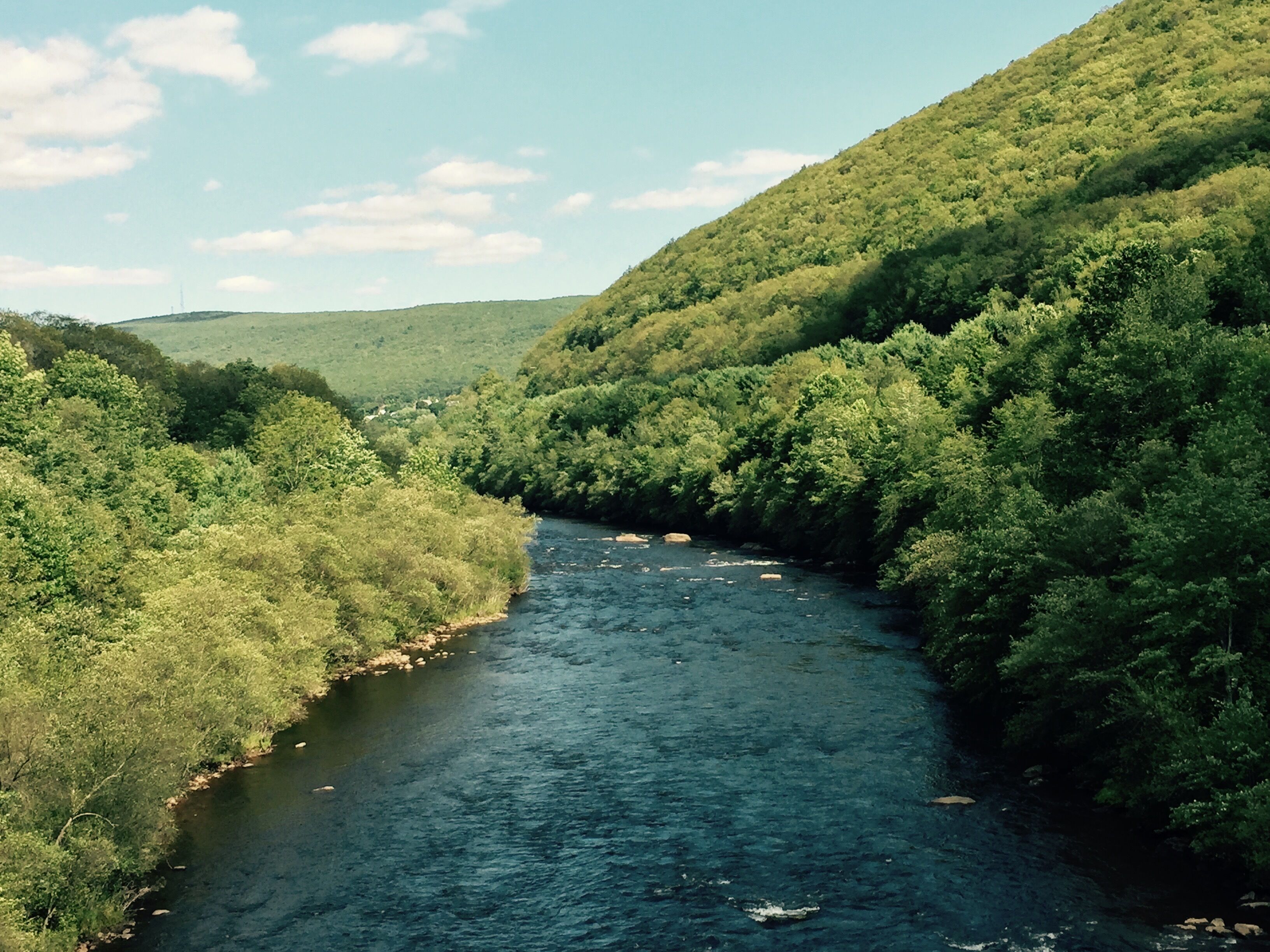 A river flowing through a densely forested valley with hills on either side.