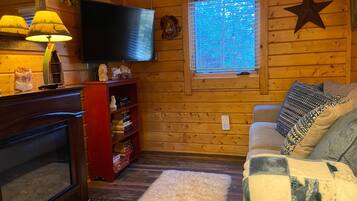 Smart TV, fireplace, books