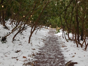 Property grounds - Cabin In the Trees In historic Jim Thorpe, on the side of Flagstaff Mountain (Jim Thorpe)