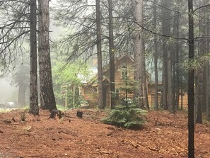 Exterior - 2 Bedroom Cabin (Alta)