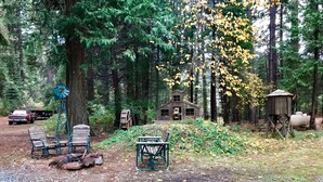 Una cabaña rústica rodeada de bosque, con un camino de grava que lleva a bancos de madera y un molino de viento.