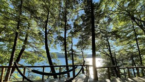Un hamac sur une terrasse en bois donnant sur un lac, avec des arbres et un ciel dégagé.