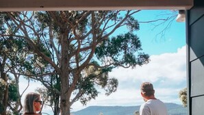 Una terrazza in legno con piante in vaso, affacciata su un panorama costiero.