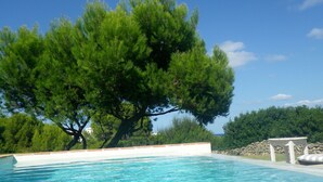A swimming pool with clear blue water, surrounded by a white poolside area and a large tree in the background. - Big beautiful villa sleeps 10: sea view, beach 5 minutes and everything nearby (Es Mercadal)