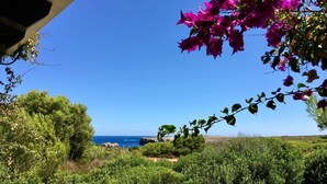 A garden with a view of the sea, featuring green shrubs and bougainvillea flowers. - Big beautiful villa sleeps 10: sea view, beach 5 minutes and everything nearby (Es Mercadal)