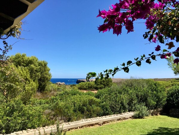 A garden with a view of the sea, featuring green shrubs and bougainvillea flowers.