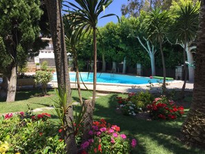 Pool - Villa in the center of Palma with pool and garden (Palma)