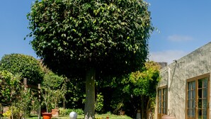A well-maintained garden with a variety of potted plants and spherical decorations.