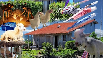 ด้านหน้าที่พัก