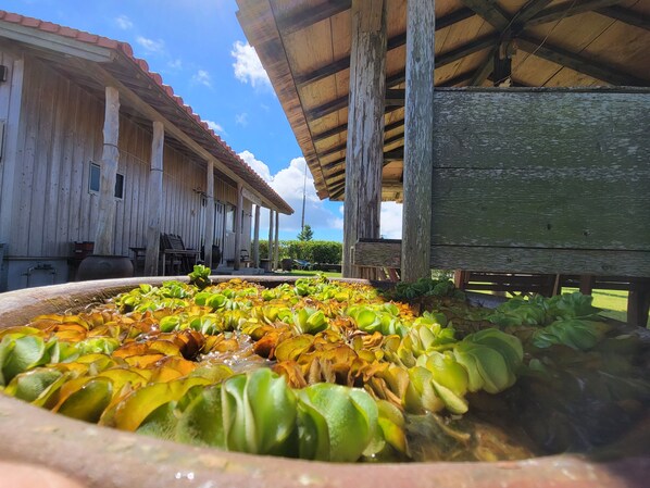 하우스 (Private Vacation, AGARUN) | 테라스/파티오