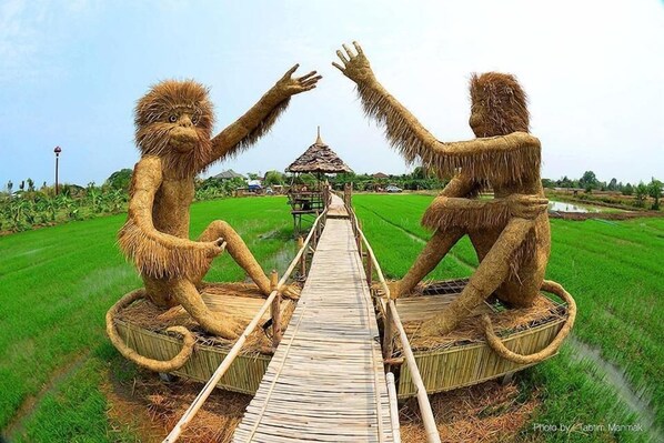 Terrein van de accommodatie