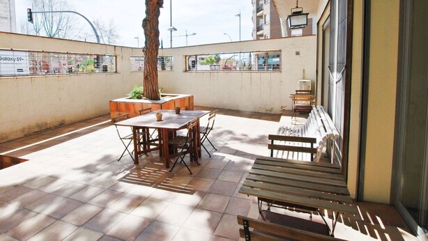 Een terras buiten met een houten tafel en bankjes, omgeven door een lage muur en een grote boom.