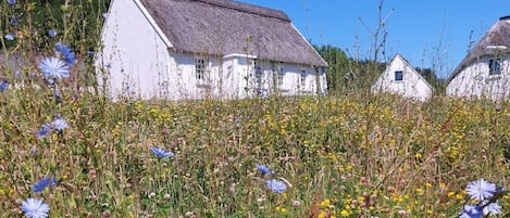 Terrain de lâhĂ©bergement