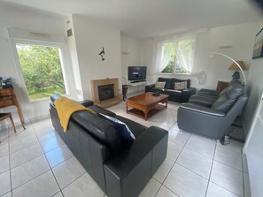 Télévision, cheminée, lecteur de DVD, table de tennis de table