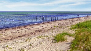 A sandy beach with seagulls, a clear sky, and a calm sea. - 3 bedroom beautiful home in Glesborg (Glesborg)