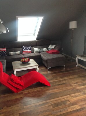 电视、DVD 播放器、书、音乐库