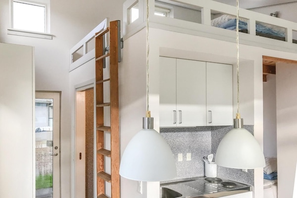 KĂźhlschrank, Herdplatte, Wasserkocher mit Kaffee-/TeezubehĂśr