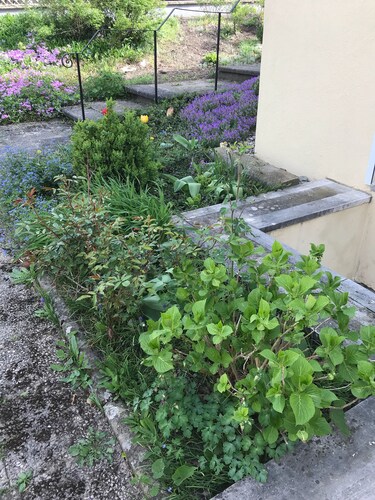 Wo der Bodensee am schönsten ist