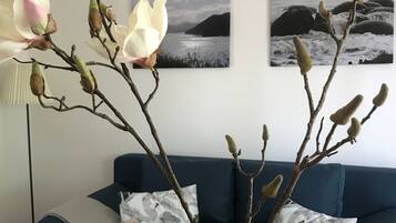 Télévision, livres, chaîne hi-fi