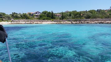 在海灘附近
