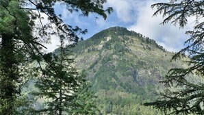 A mountain with dense forest and rocky terrain. - Parvati Kuteer (Bhuntar)