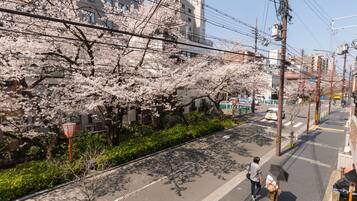 Superior Apartment | View from room