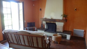 A living room with a fireplace, a sofa, a television, and a potted plant.