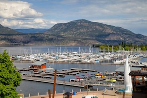 Boats dock at the marina, surrounded by hills and dense forests.