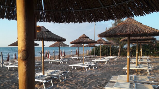 Ein Strand mit Reihen von Liegestühlen und Reetdachschirmen, die mit Nummern versehen sind.