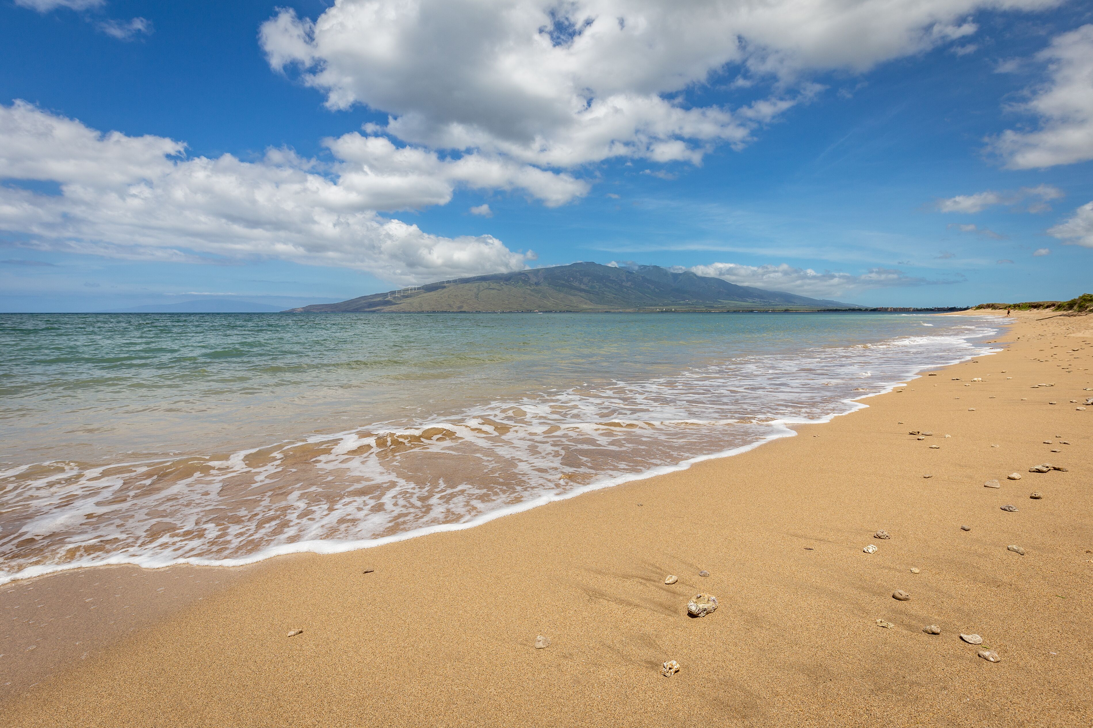 On the beach, sun loungers, beach towels