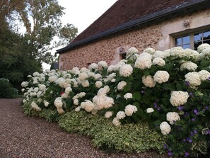Garden - Manoir de Maucartier (Monnaie)
