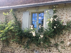 A rustic building with a window covered by white shutters, surrounded by climbing plants and flowers. - Manoir de Maucartier (Monnaie)