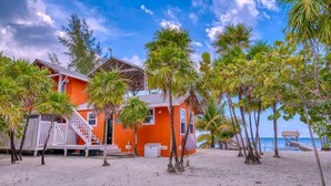 A beach house with a staircase leading to the entrance, surrounded by palm trees and a clear view of the ocean. - Starfish Beach House  2BR Beachfront Retreat with Pool & Dock (Milton Bight)