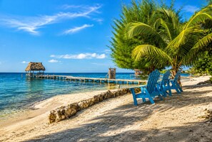 A beach with clear blue water, a wooden pier, and a thatched-roof structure. - Starfish Beach House  2BR Beachfront Retreat with Pool & Dock (Milton Bight)