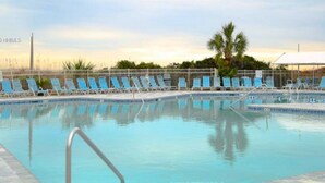 A swimming pool with lounge chairs and a palm tree in the background.