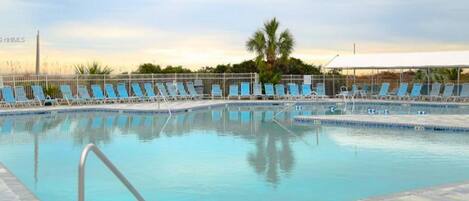 A swimming pool with lounge chairs and a palm tree in the background.