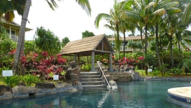 Un espace piscine agrémenté d’un gazebo en bois, de marches menant à l’eau et d’une végétation tropicale.