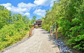 A pathway leading to a building surrounded by dense greenery.