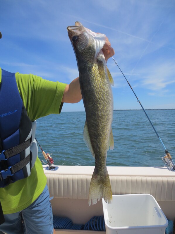 A person holding a fish on a boat with a fishing rod. - Waterfront, Finest sand swim beach,Cul-De-Sac,Lorain Lane,Pelee Island Finest (Pelee Island)