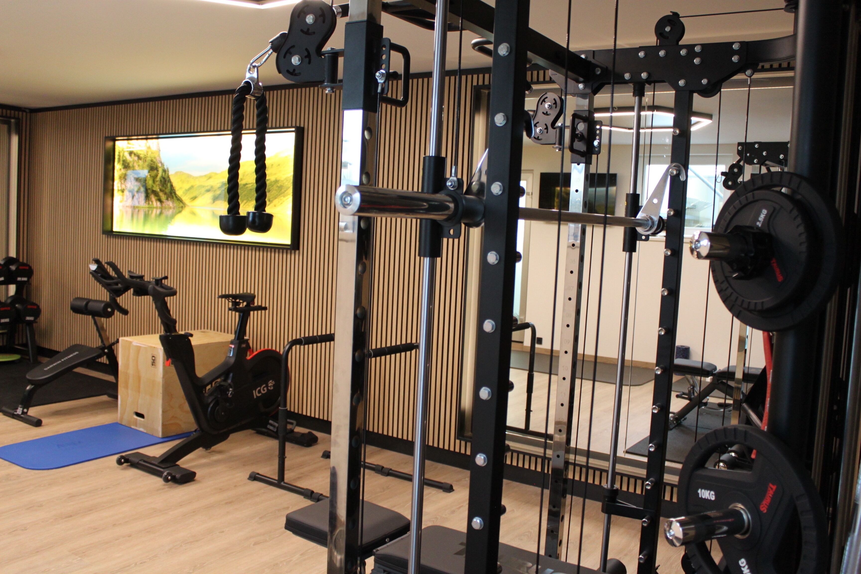 Une salle de sport équipée de matériel d’exercice, avec un tapis bleu et un mur en bois orné d’un tableau.