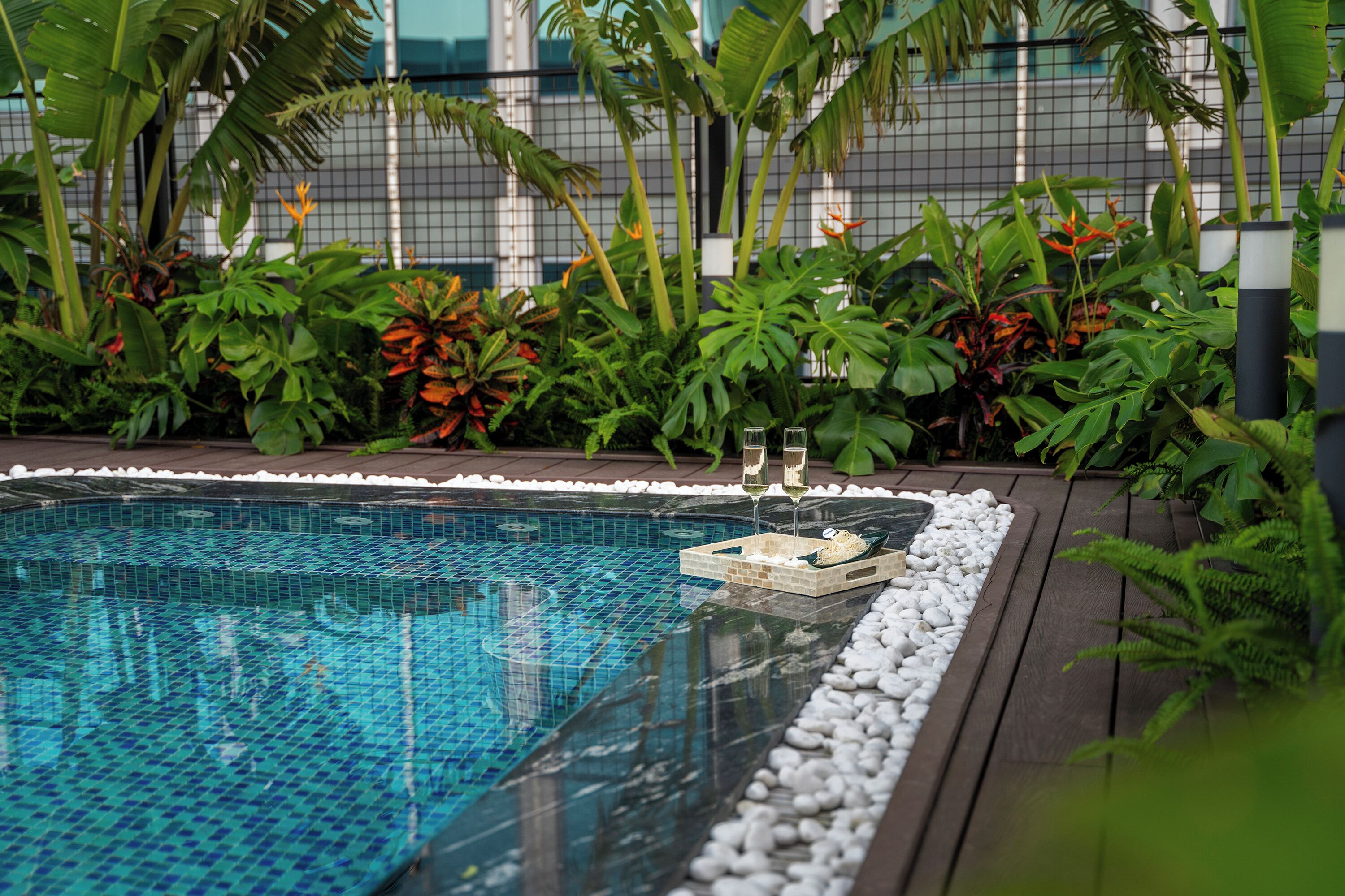 Une piscine dont le bord est revêtu de carrelage, entourée de plantes tropicales et dotée d’une terrasse en bois.