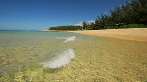A beach with clear shallow waters, a sandy shore, and dense tropical vegetation. - Villa Antema (Surinam)