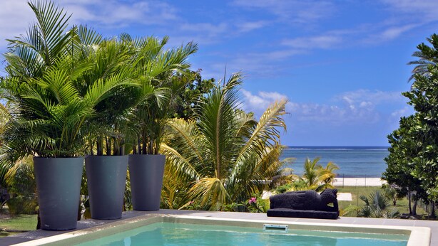 Outdoor pool, sun loungers - Villa Antema (Surinam)